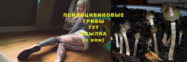 ПСИЛОЦИБИНОВЫЕ ГРИБЫ Новодвинск
