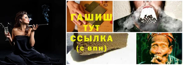 гидра Новокубанск