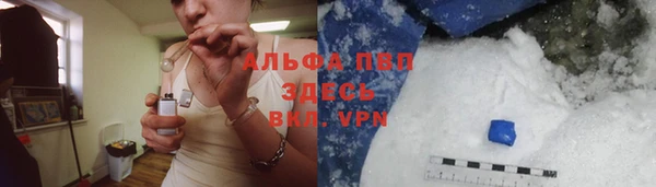 гидра Новокубанск