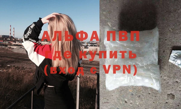 гидра Новокубанск
