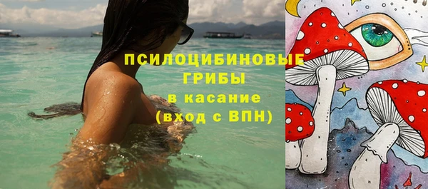 ПСИЛОЦИБИНОВЫЕ ГРИБЫ Новодвинск