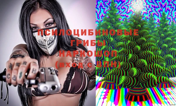 гидра Новокубанск