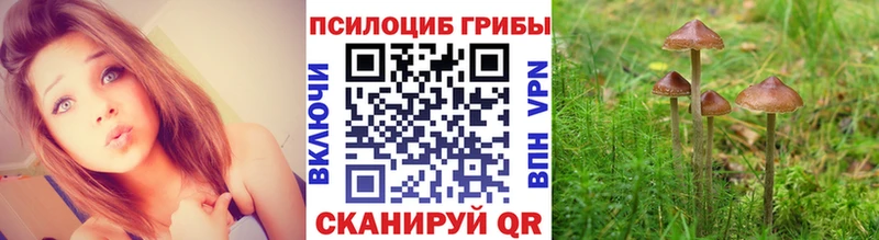 Галлюциногенные грибы Cubensis  ссылка на мегу рабочий сайт  Нижний Ломов 