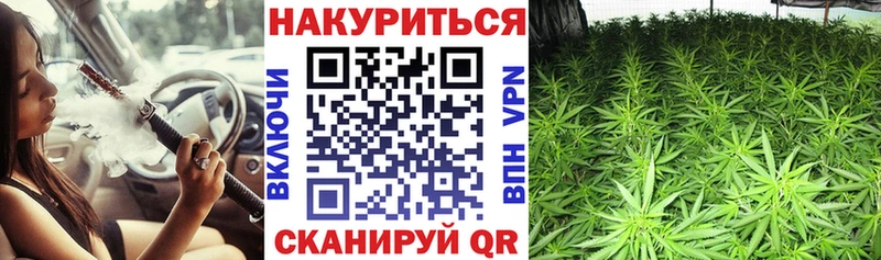 Бошки Шишки планчик  Нижний Ломов 