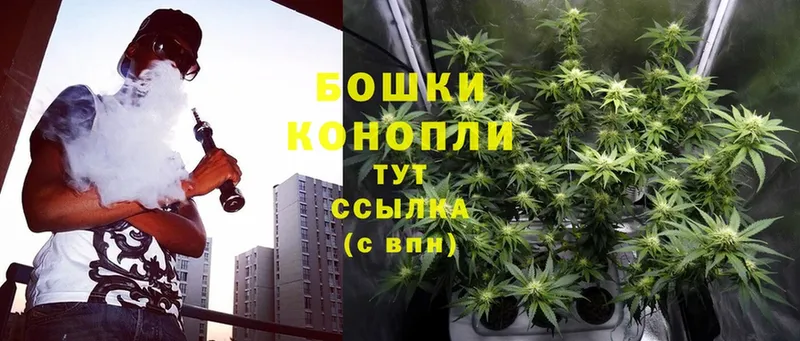 купить наркоту  Нижний Ломов  Бошки марихуана THC 21% 